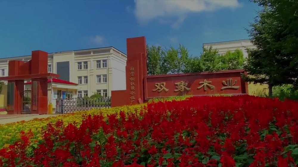 视频标题