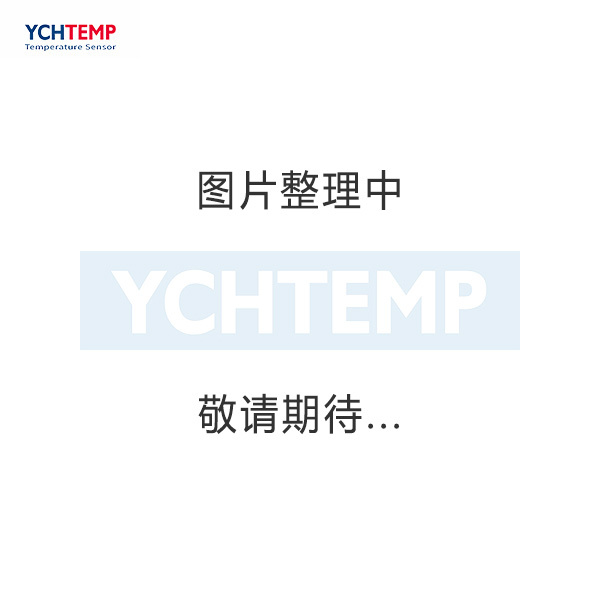 垃圾发电厂焚烧炉用热电偶