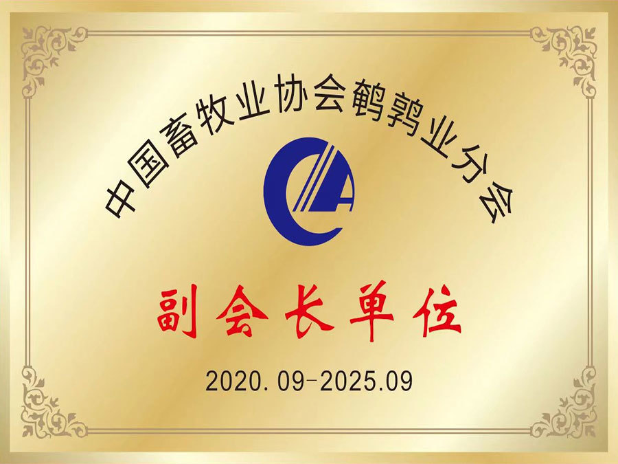 Vice President Unit, China Quail Industry Association