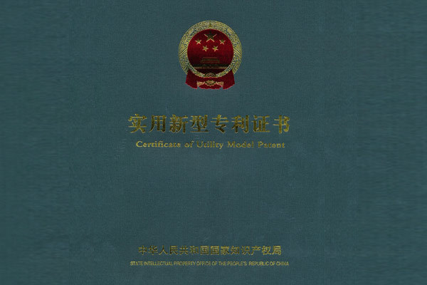 长轴抗偏摆搅拌器专利证书