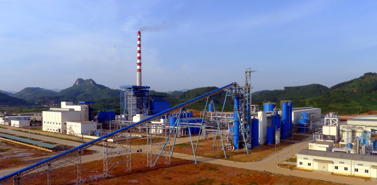 Vietnam Anhua Pulp Mill Project