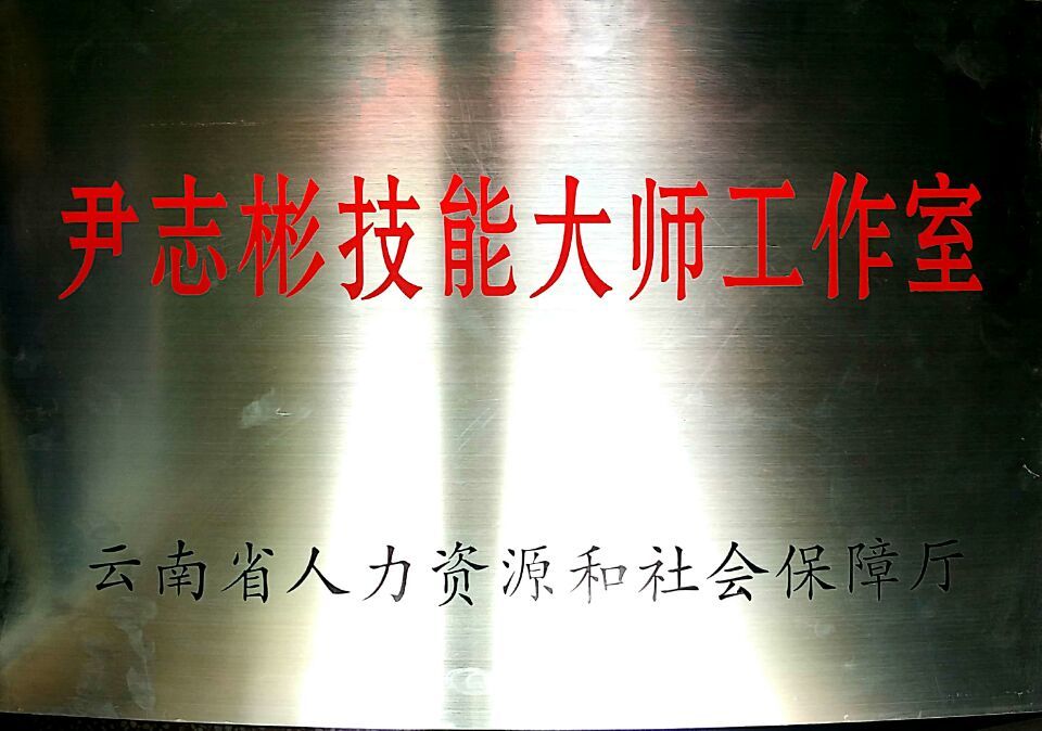 Yin Zhibin Skill Master Studio