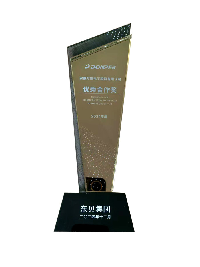 "Excellent Cooperation Award" by Donper Group 2024