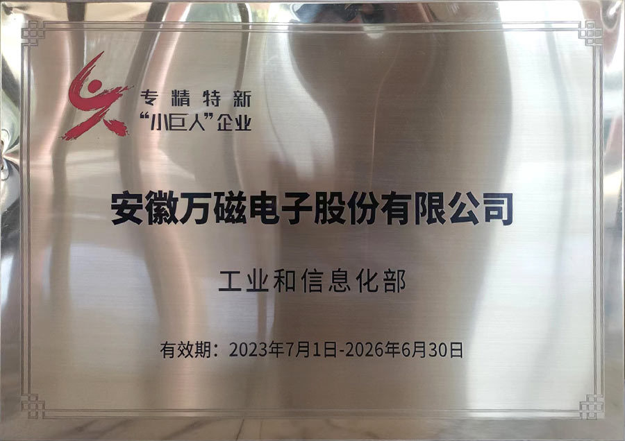 “Little Giant” Enterprise certified by the Government