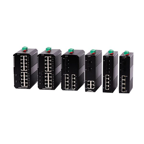 Industrial Grade Switch