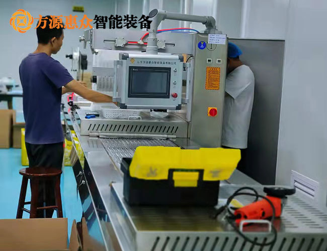 DLZ-420連續(xù)拉伸膜真空包裝機