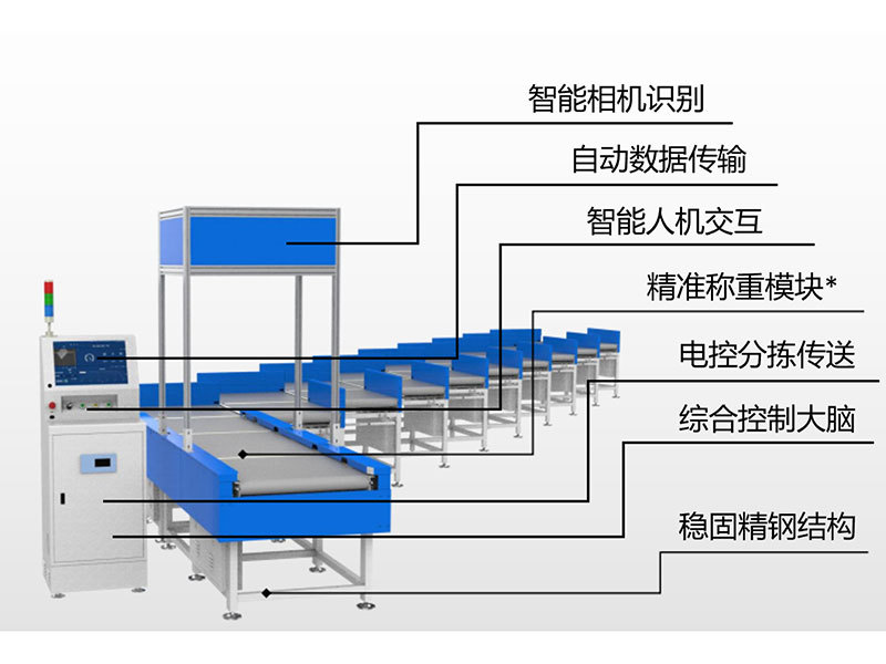 Z-type sorter