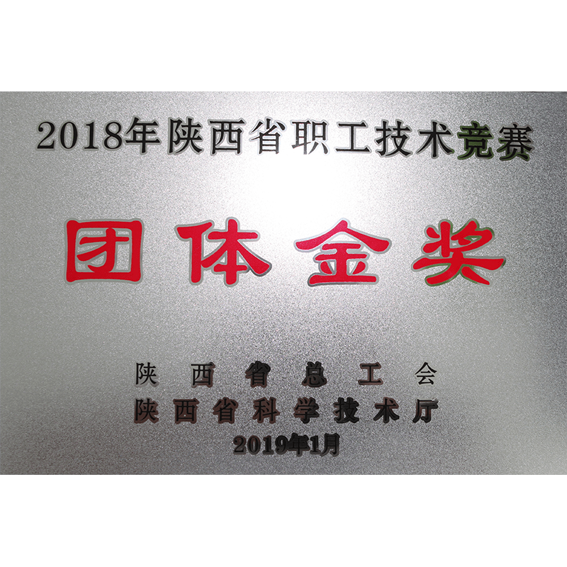 陕西省职工技术竞赛团体金奖