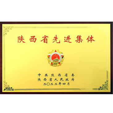 陕西省先进集体