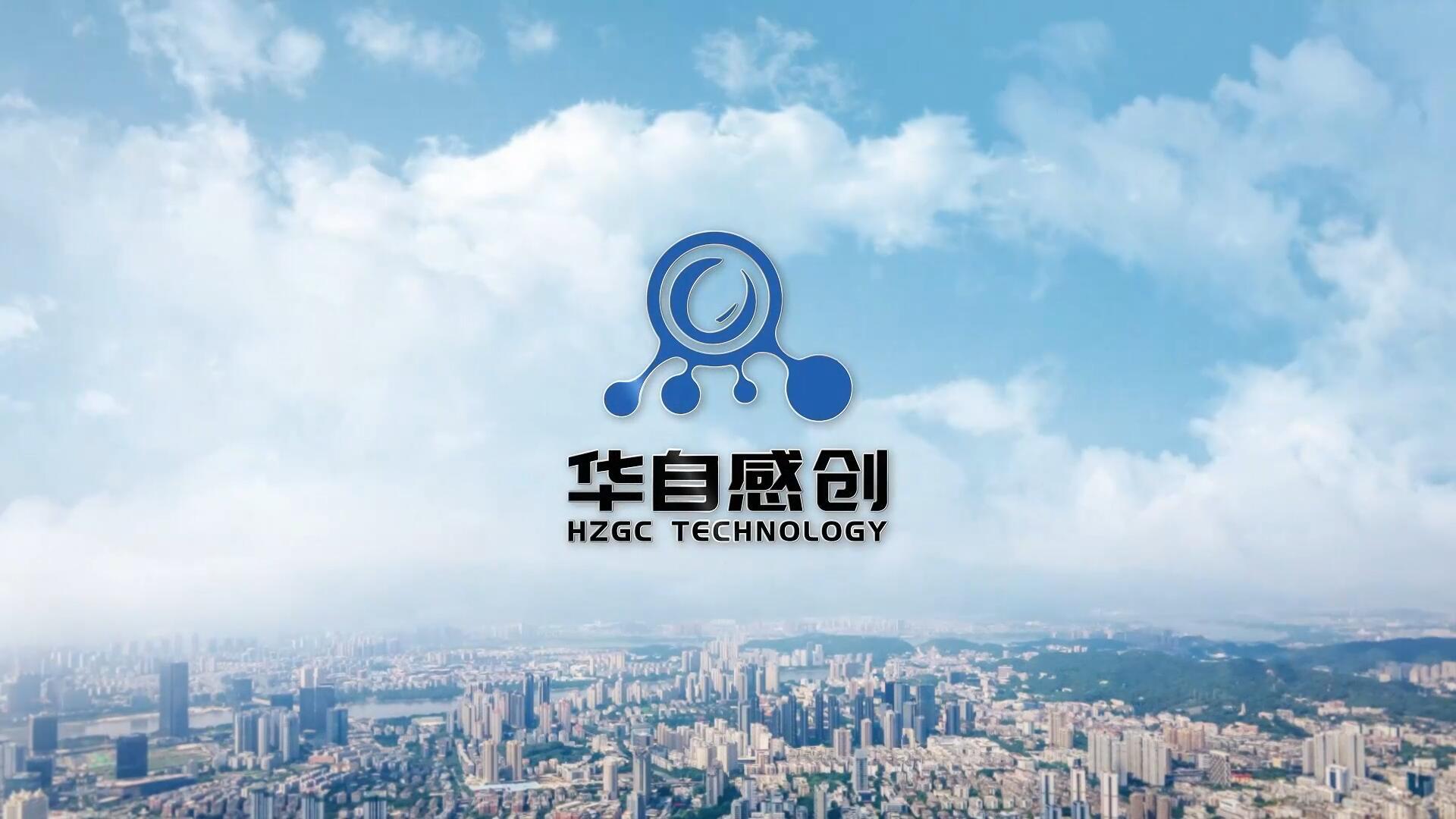 视频标题