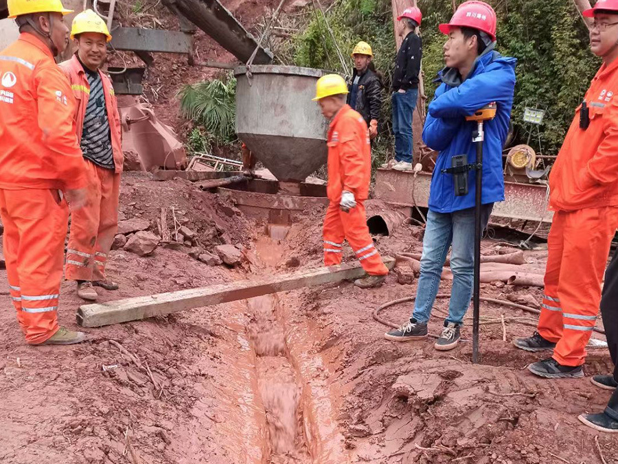 案例展示