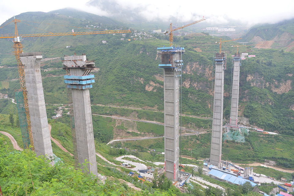 金陽河特大橋