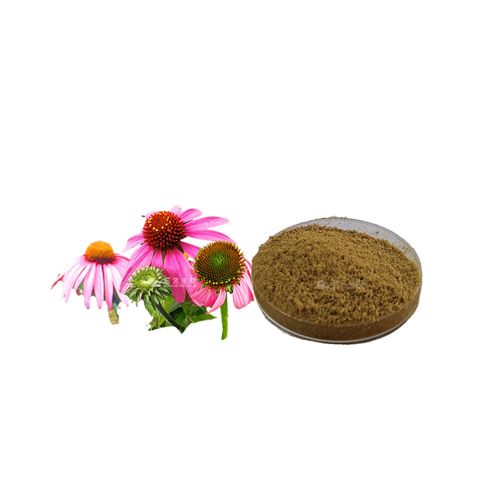 紫锥菊提取物