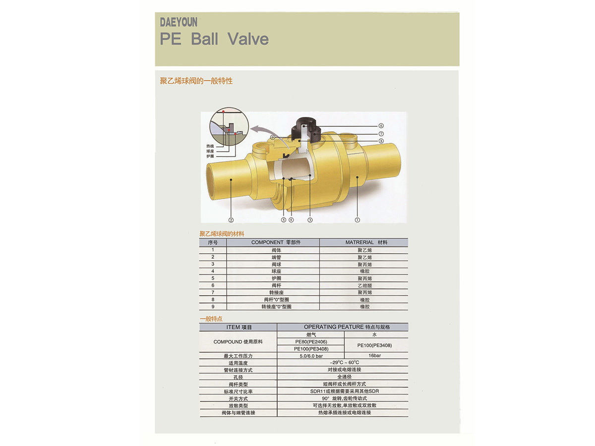 PE Ball Valve