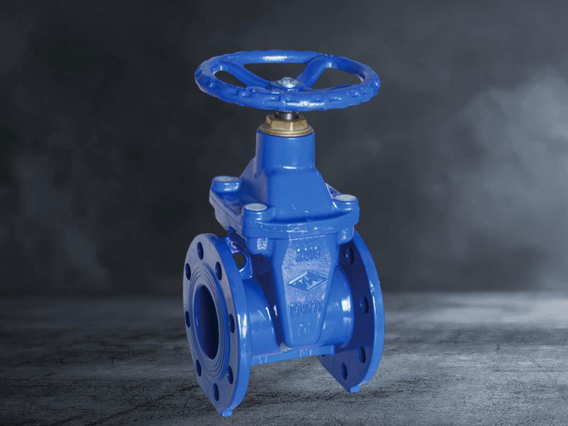 VALVE