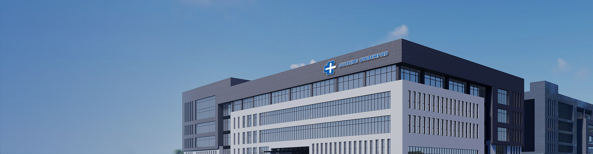 ABOUT SUNING