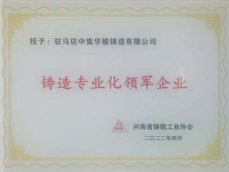 A leading specialized foundry enterprise A leading specialized foundry enterprise