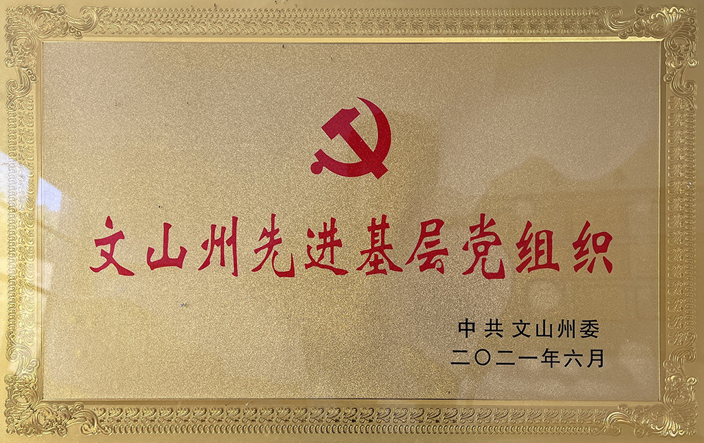 先进基层党组织