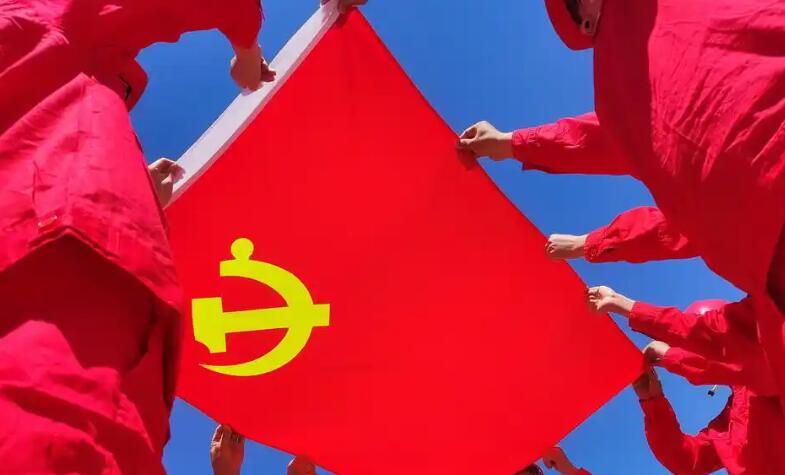 党组织基本情况