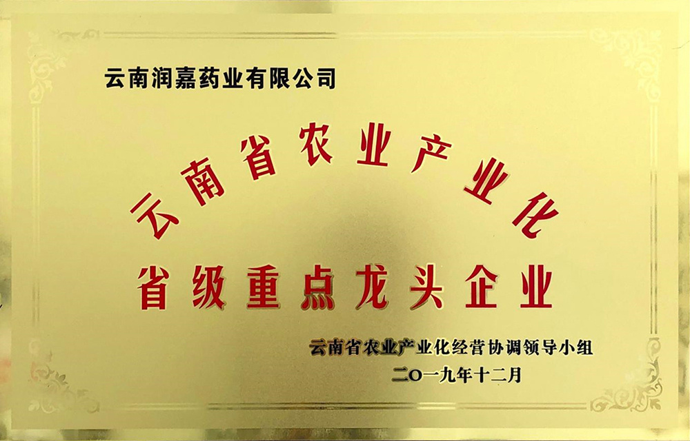 云南省重点龙头企业