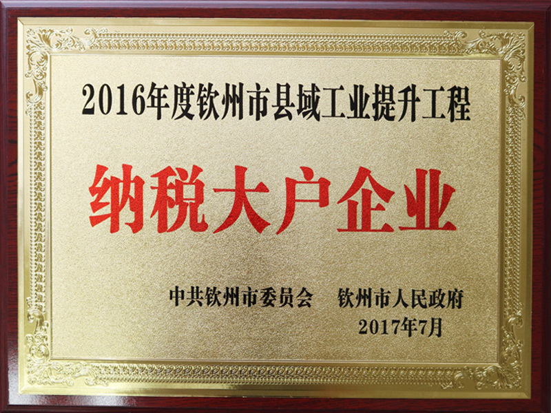 纳税大户企业