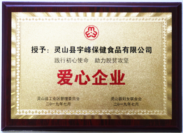 灵山县关爱贫困妇女爱心帮扶活动在宇峰公司举行