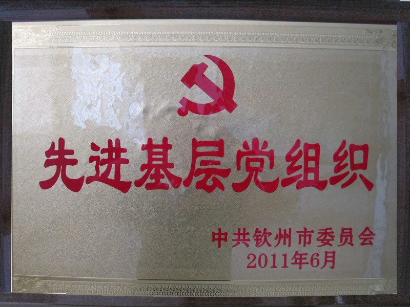 先进基层党组织