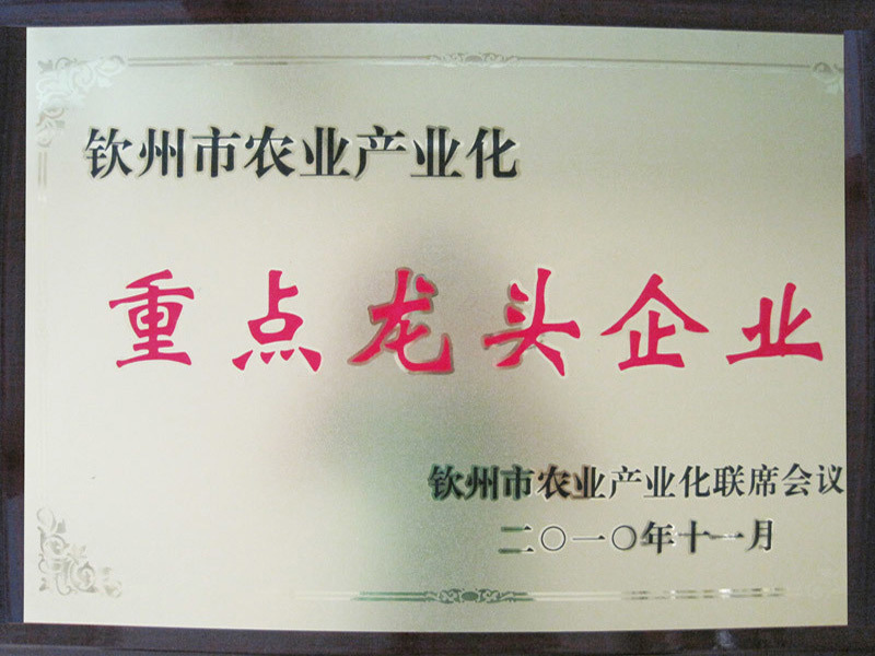 重点龙头企业