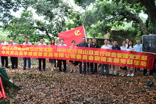 宇峰公司党委多举措庆“七一”