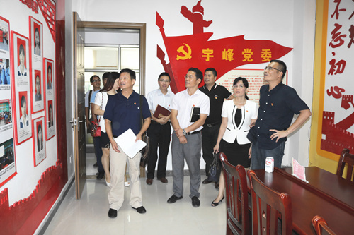 宇峰公司党委多举措庆“七一”