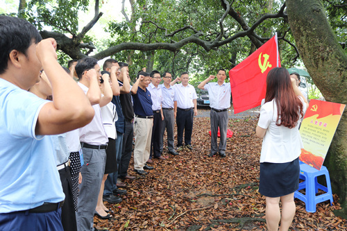 宇峰公司党委多举措庆“七一”