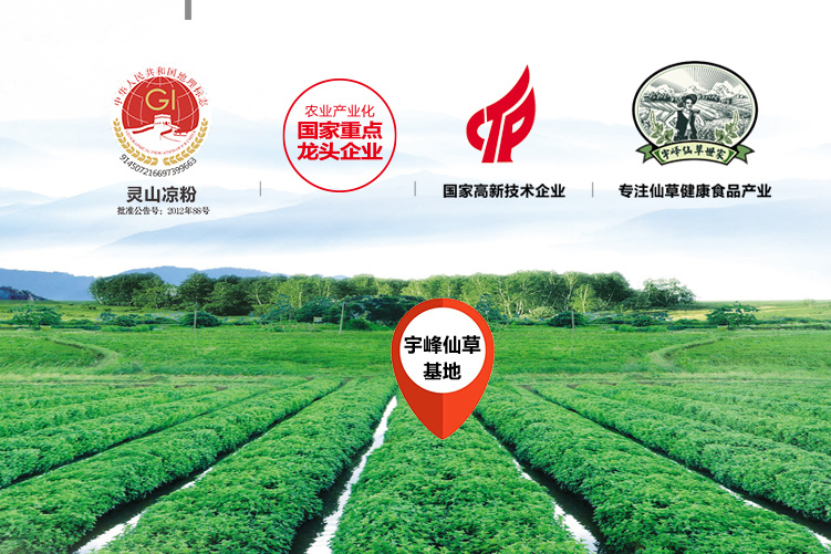 即食龟苓膏