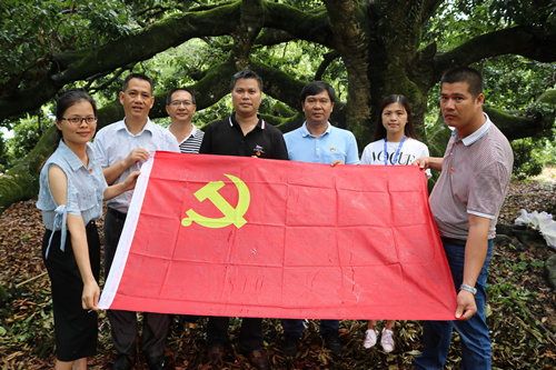 宇峰公司党委多举措庆“七一”