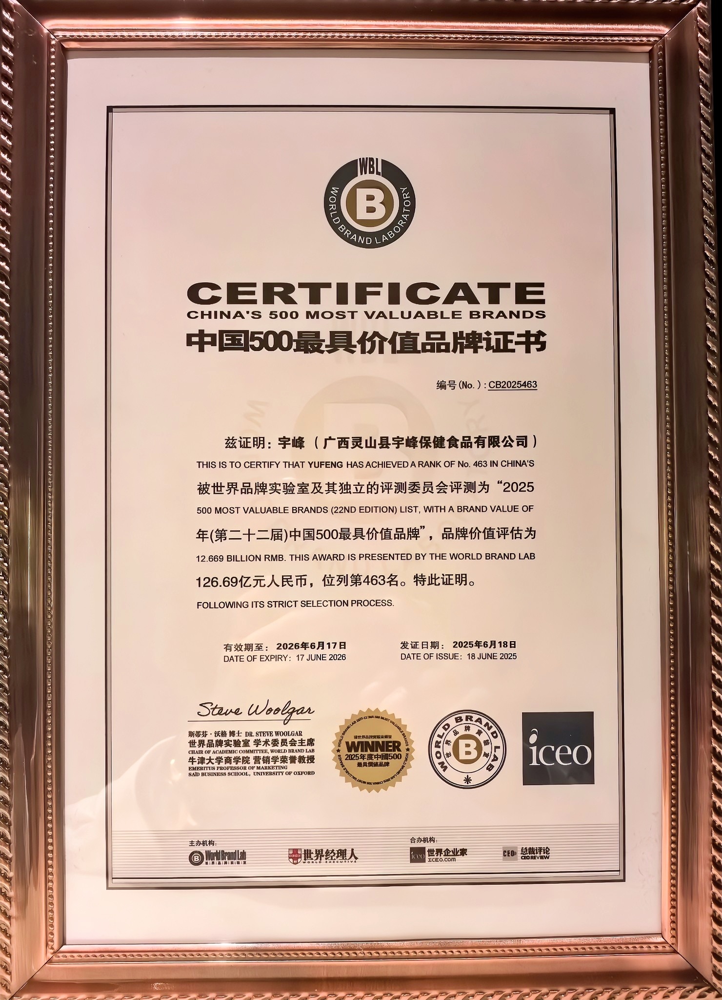 热烈祝贺宇峰荣登2025年中国500最具价值品牌榜