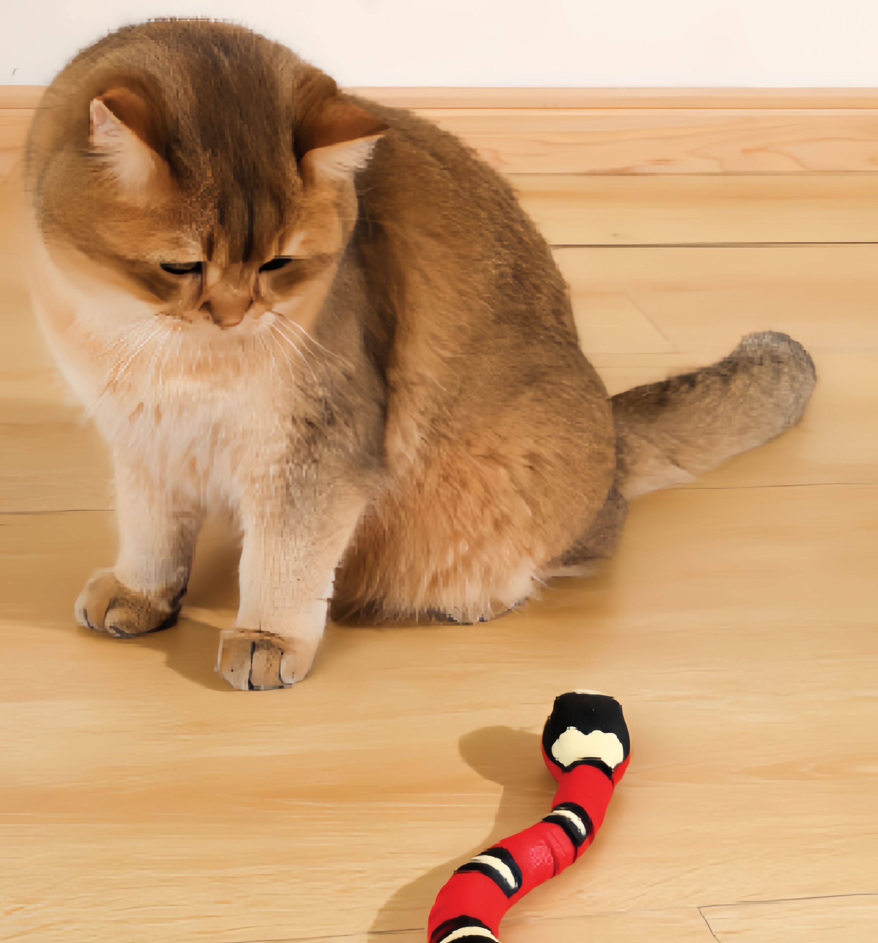 Pet Toys