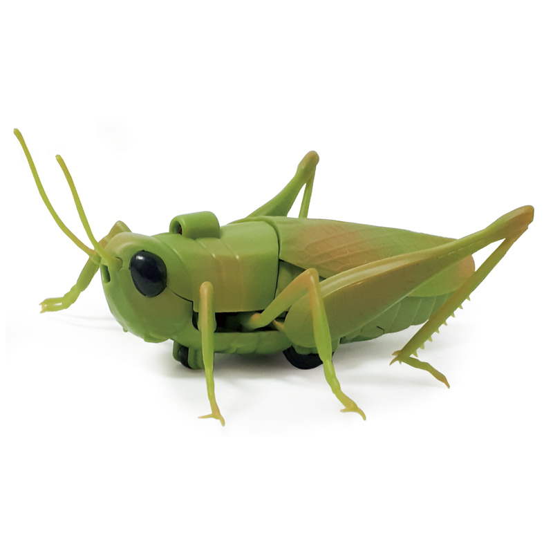 best realistic insect crawling toy of china