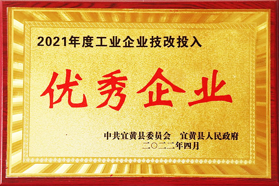 Outstanding Enterprises Invested in Technological Transformation of Industrial Enterprises in 2021