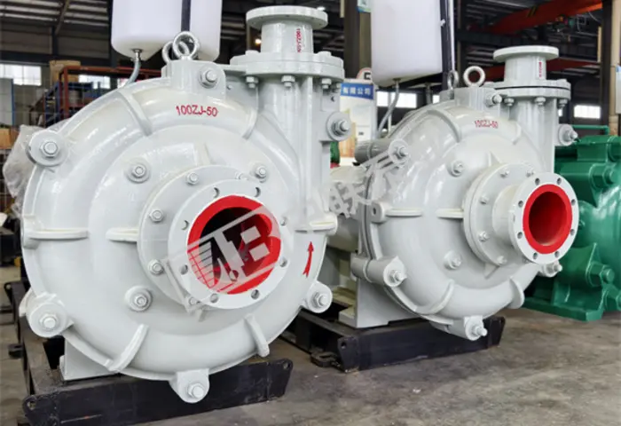 A technology company from Guizhou purchases a sludge pump model 100ZJ-I-A46