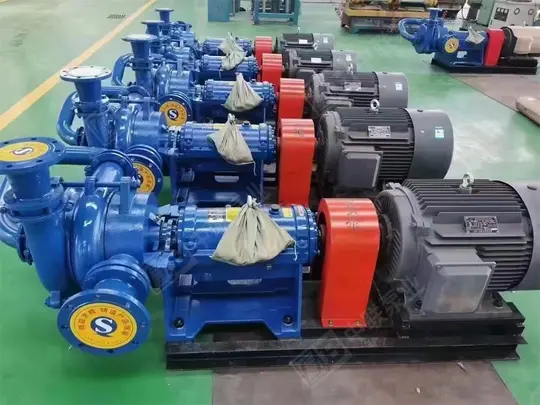 Special pressurized feed impurity pump for the ZJE filter press series