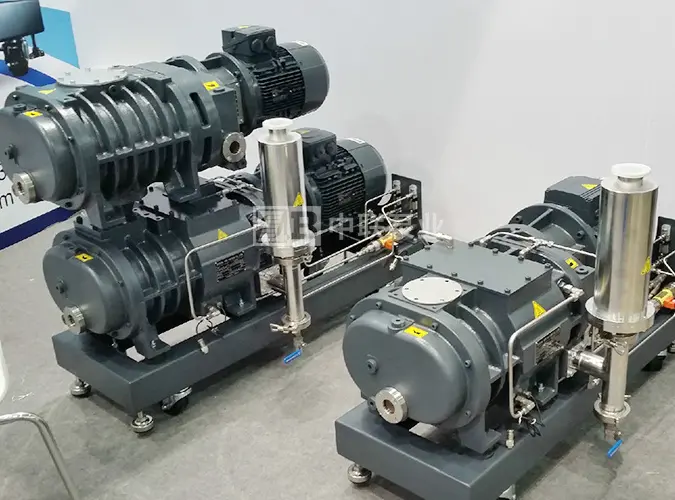 Dry oil-free screw vacuum pump