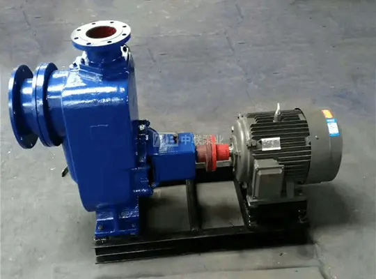 Horizontal self-priming clean water pump type ZX