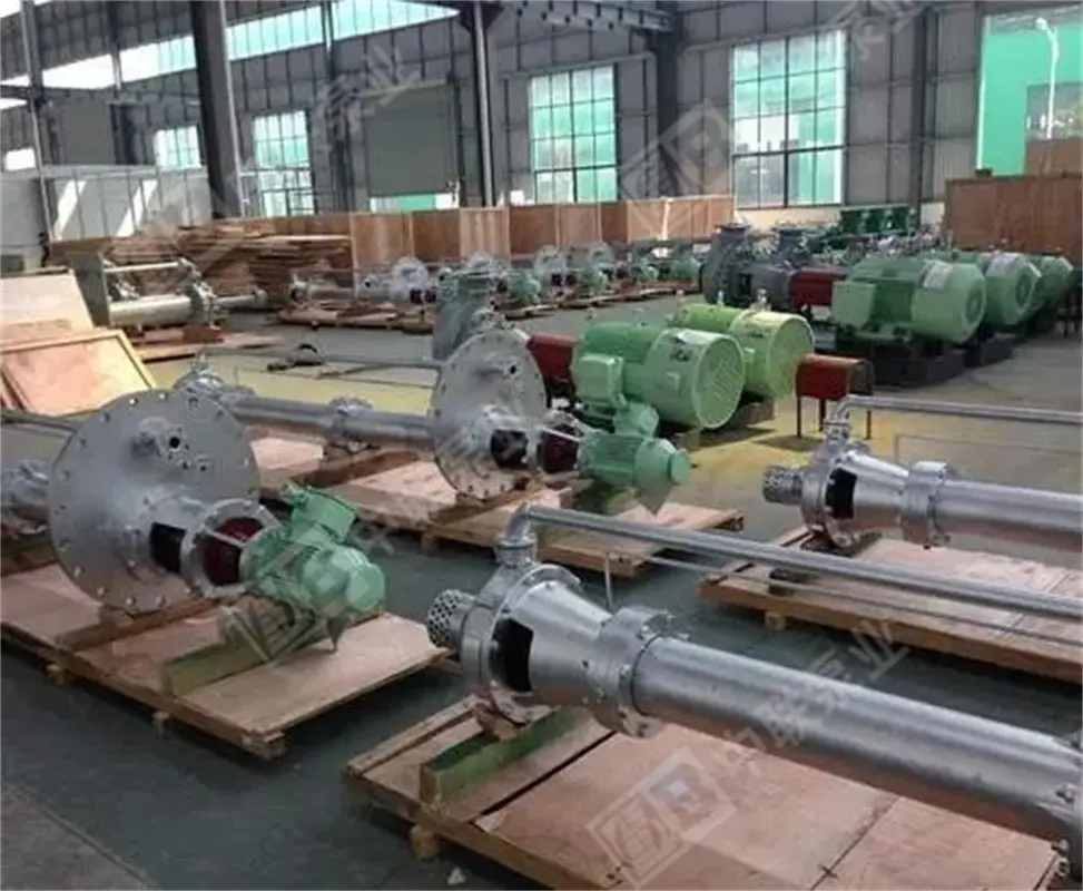 FY Type Submerged Chemical Pump