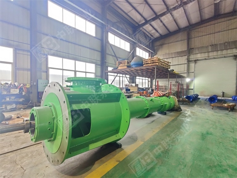 Long-axis pump