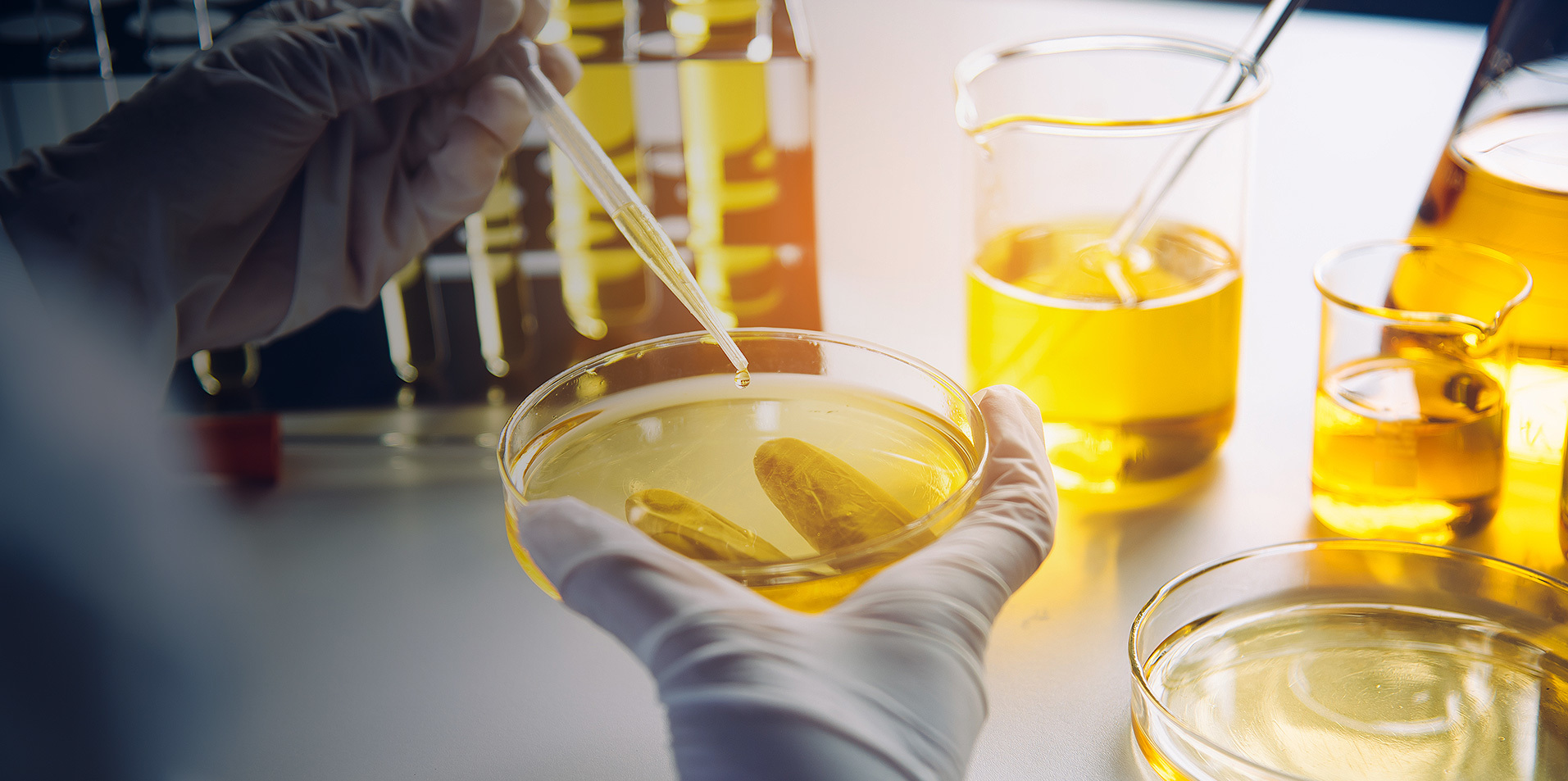 Precision Chemistry Behind Textiles