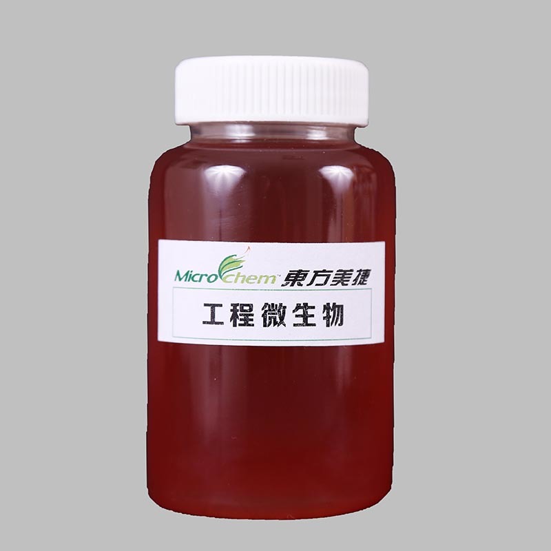 圖片名稱
