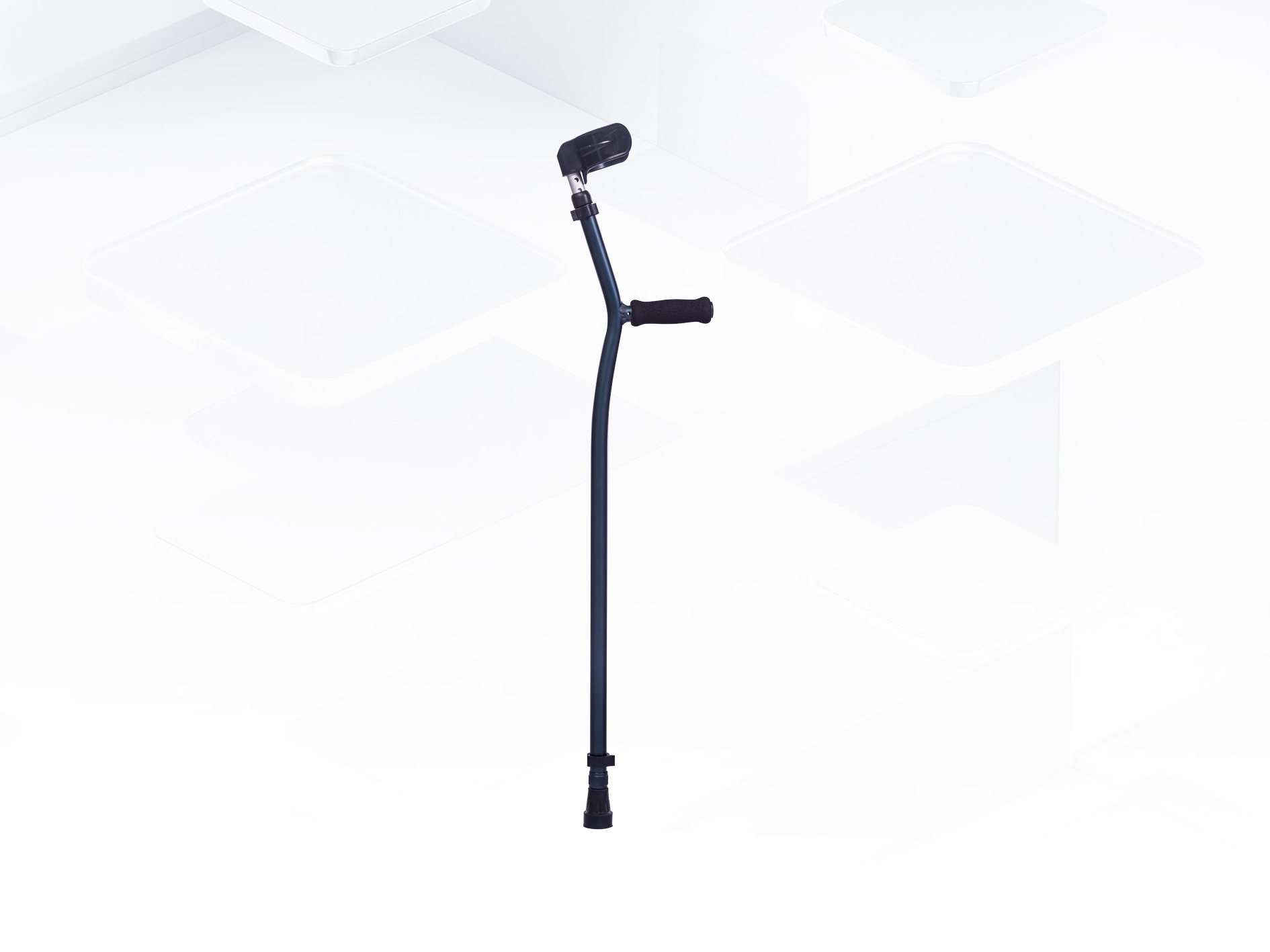 Walking Stick