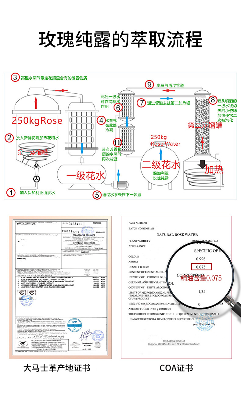 恒芳生物
