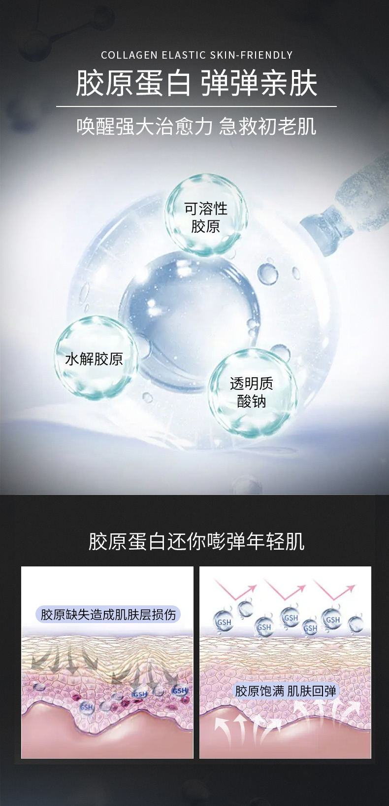 恒芳生物