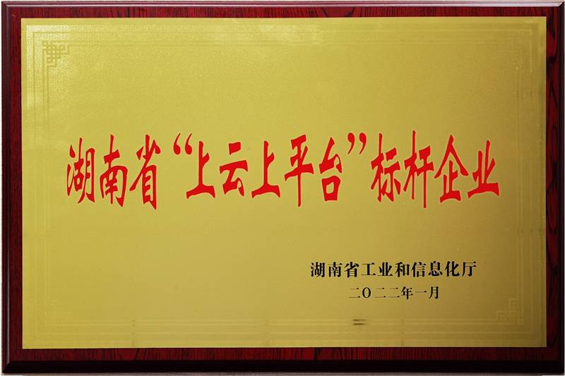 湖南省”上云上平臺“標桿企業(yè) 湖南省”上云上平臺“標桿企業(yè)