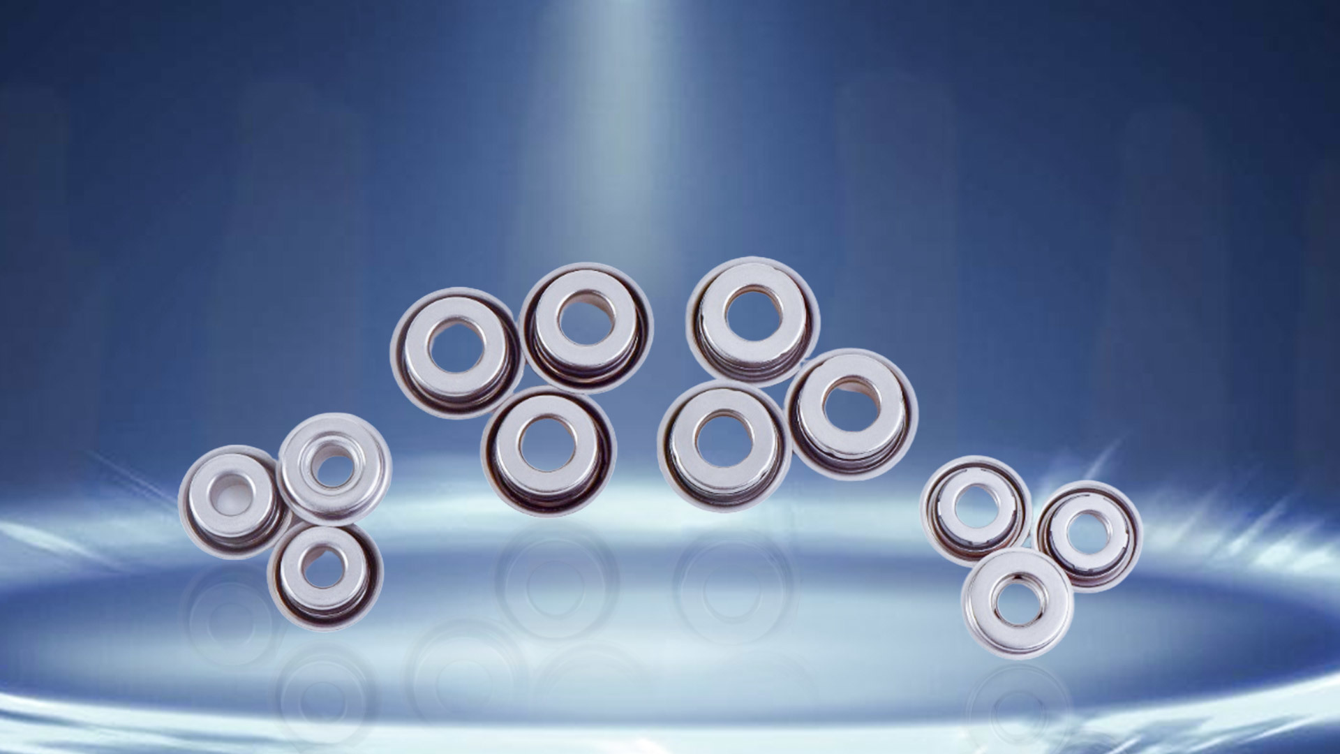 Water Pump Seal